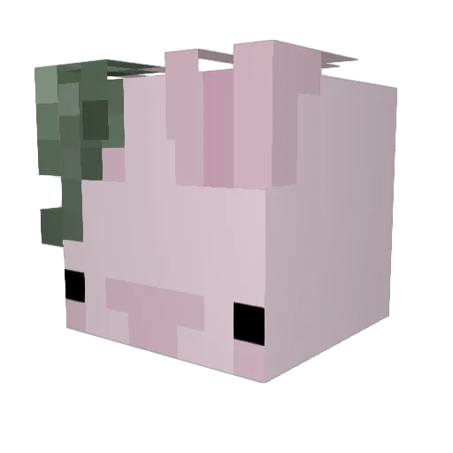Chrona456 Minecraft avatar head, 3D render
