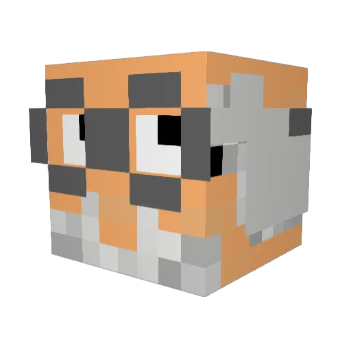 Chronic_Diarrhea Minecraft avatar head, 3D render