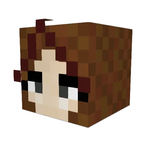 ChroniclesofL Minecraft avatar head, 3D render