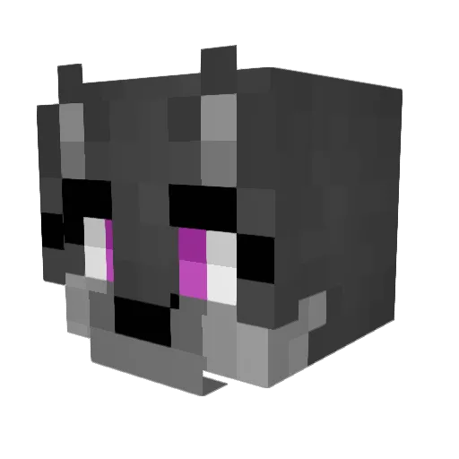 Chronomize Minecraft avatar head, 3D render