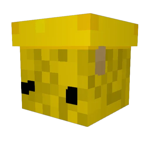 Chrx2110 Minecraft avatar head, 3D render