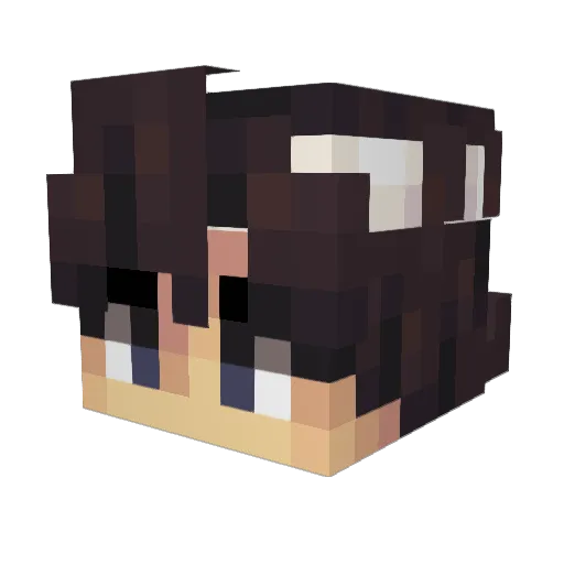 Chu_bacca Minecraft avatar head, 3D render