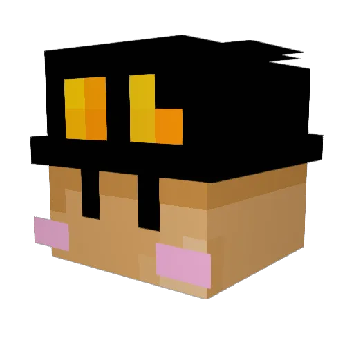 ChubNubYT Minecraft avatar head, 3D render