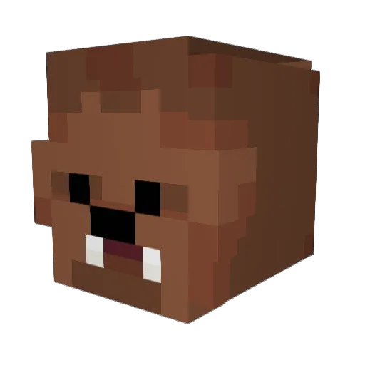 Chubacadabra Minecraft avatar head, 3D render