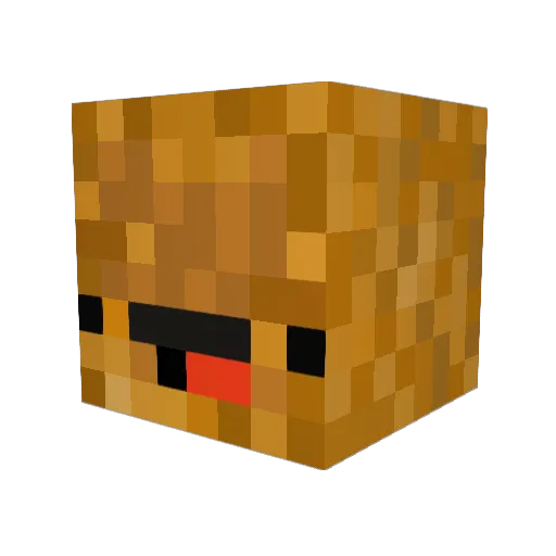 Chubbnugget Minecraft avatar head, 3D render