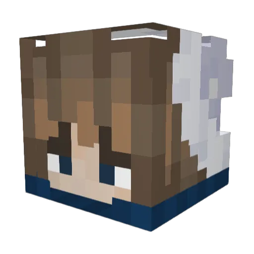ChubbyCheek26 Minecraft avatar head, 3D render