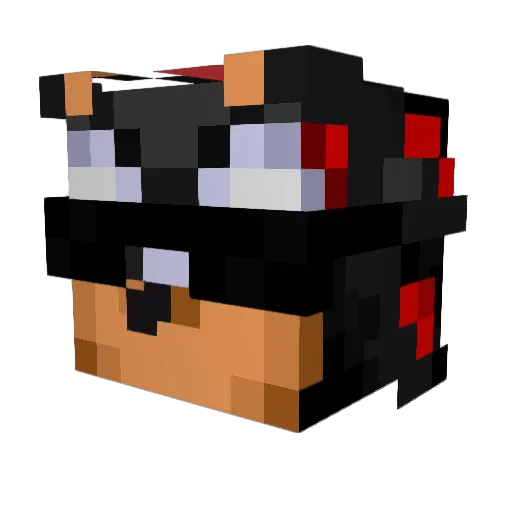 ChubbyDoge Minecraft avatar head, 3D render