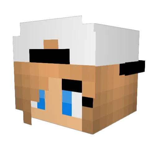 ChubbyDolphin1 Minecraft avatar head, 3D render