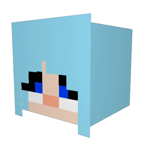 ChubbyDumpling03 Minecraft avatar head, 3D render