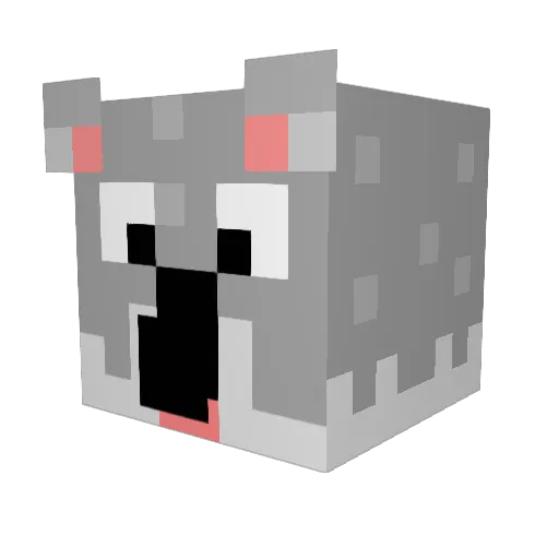 ChubbyKoala Minecraft avatar head, 3D render