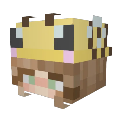 ChubbyMochii Minecraft avatar head, 3D render