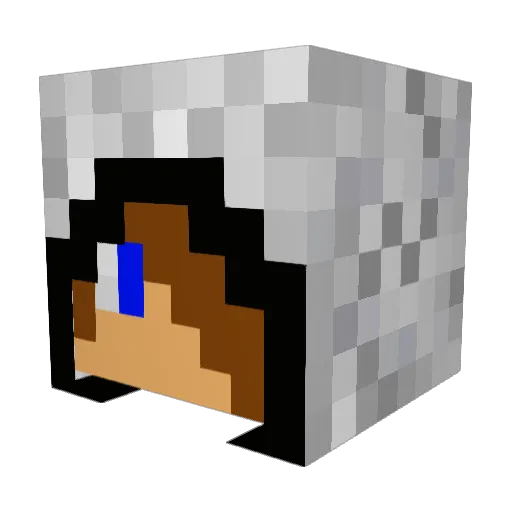 ChubbyPenguin12 Minecraft avatar head, 3D render