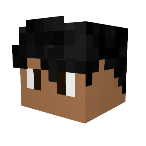 ChubbyRaccoon Minecraft avatar head, 3D render