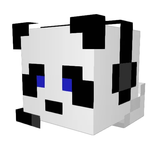 Chubby_Panda123 Minecraft avatar head, 3D render