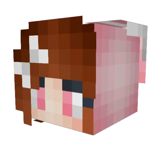 Chubby__Bunny Minecraft avatar head, 3D render