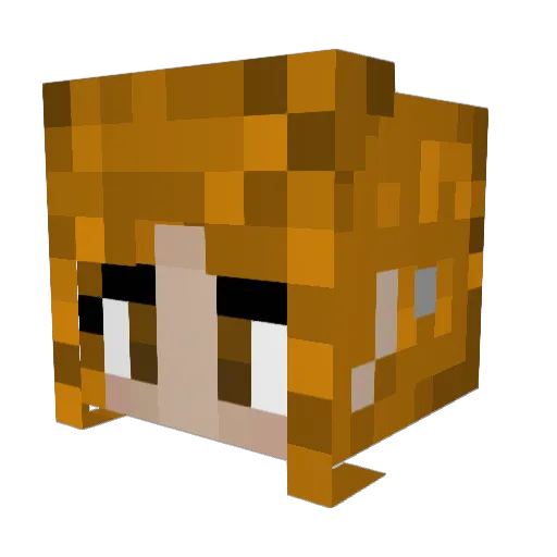 Chubbyleinchen Minecraft avatar head, 3D render