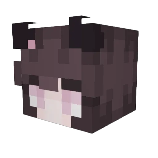 Chubbz_Nuts Minecraft avatar head, 3D render