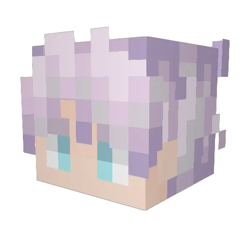 Chubchubsnoflake Minecraft avatar head, 3D render