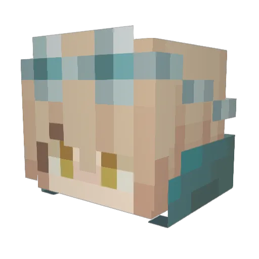 Chubess Minecraft avatar head, 3D render