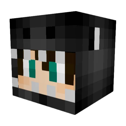 ChubsTheSkrub Minecraft avatar head, 3D render