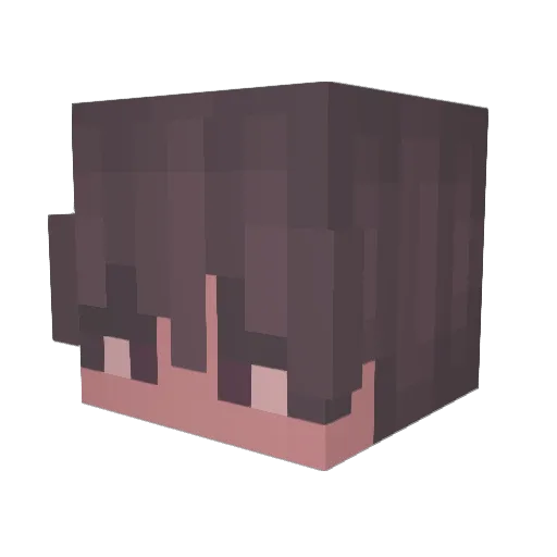 Chubzilla1214 Minecraft avatar head, 3D render