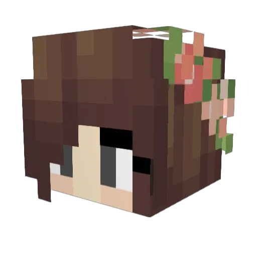 ChucK616 Minecraft avatar head, 3D render