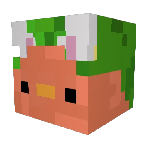 Chuchay707 Minecraft avatar head, 3D render