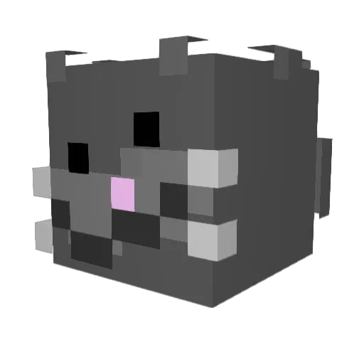 ChuckFillmore Minecraft avatar head, 3D render