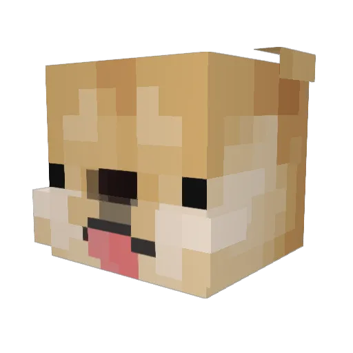Chucknouis8260 Minecraft avatar head, 3D render