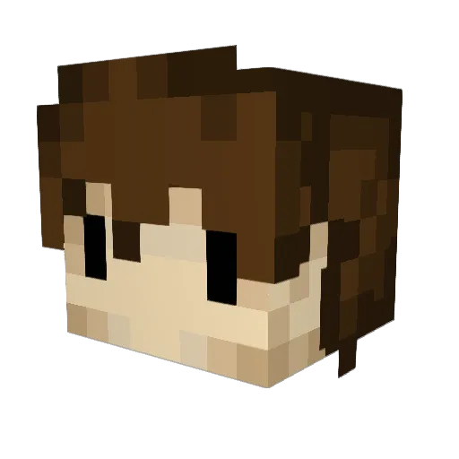 Chuggins__ Minecraft avatar head, 3D render