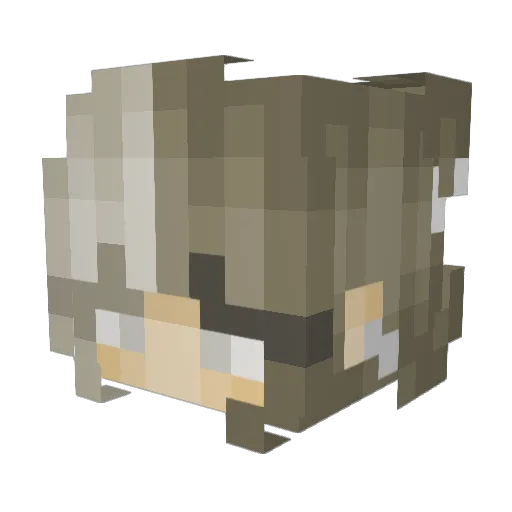 Chuh_e Minecraft avatar head, 3D render