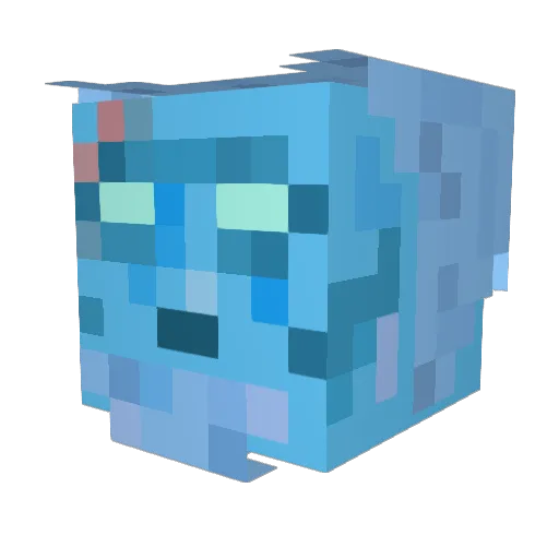 ChuiEnPantoufles Minecraft avatar head, 3D render