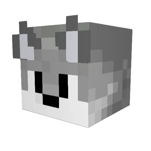 ChuleCr Minecraft avatar head, 3D render
