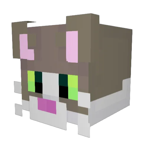 Chumiguel20 Minecraft avatar head, 3D render