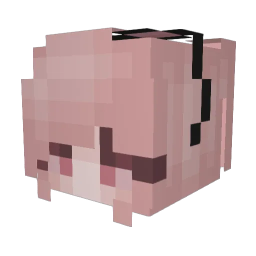 Chumpion Minecraft avatar head, 3D render