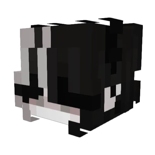 Chuna76 Minecraft avatar head, 3D render