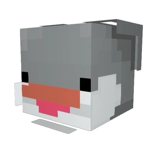 Chungoose Minecraft avatar head, 3D render