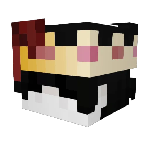 ChungusCharles Minecraft avatar head, 3D render