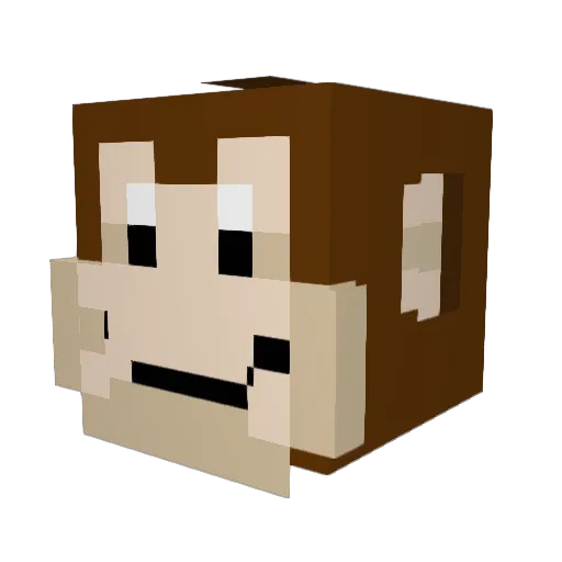 Chungus_Chunnie Minecraft avatar head, 3D render
