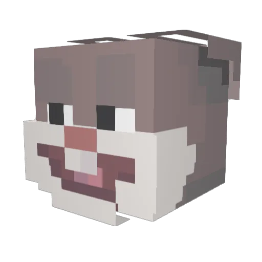 Chungus_Crafter Minecraft avatar head, 3D render