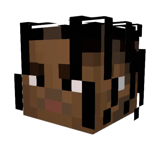 Chungy1220 Minecraft avatar head, 3D render