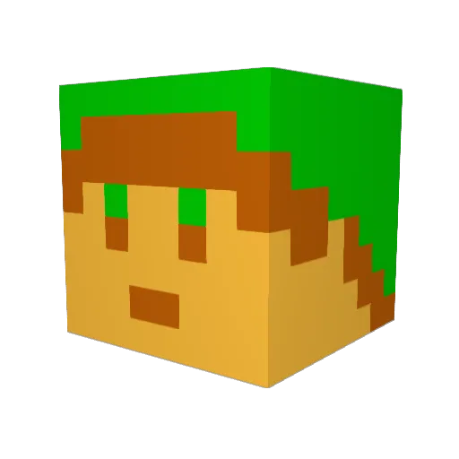 Chunkey9 Minecraft avatar head, 3D render