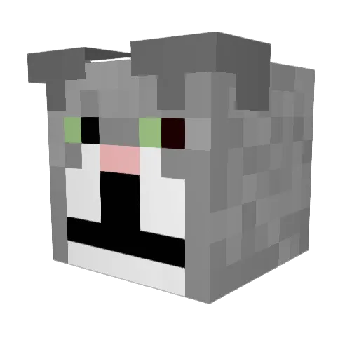 ChunkyUnky Minecraft avatar head, 3D render