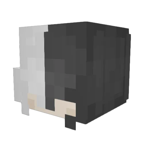 Chunky_Troll Minecraft avatar head, 3D render