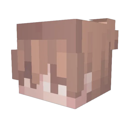 Chunky_m1lk Minecraft avatar head, 3D render
