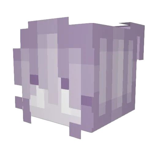 ChupChip Minecraft avatar head, 3D render