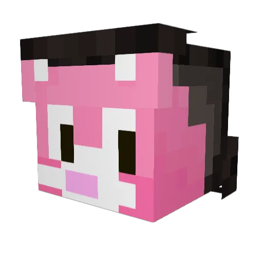 Chupuo Minecraft avatar head, 3D render