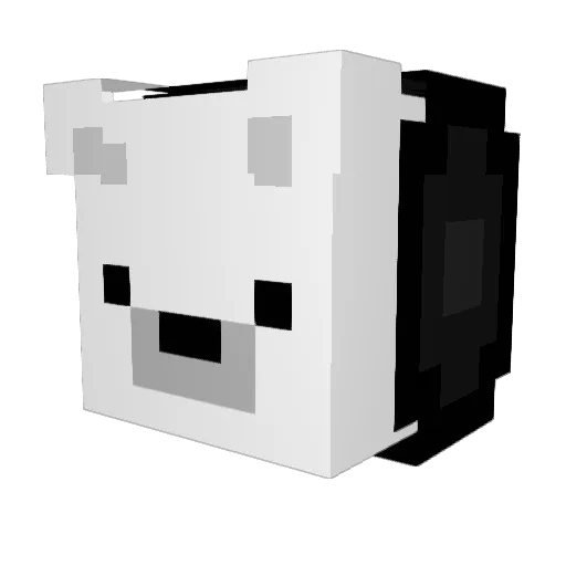 Churras123 Minecraft avatar head, 3D render