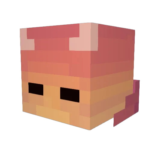ChurrascoW Minecraft avatar head, 3D render