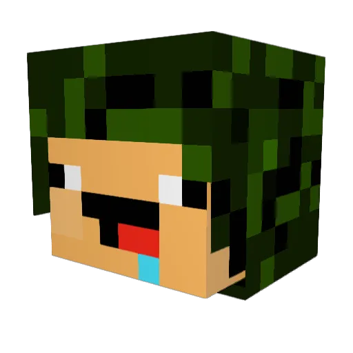 Chustin Minecraft avatar head, 3D render